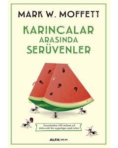 Karıncalar Arasında Serüvenler