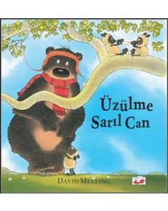 Üzülme Sarıl Can (Ciltli)