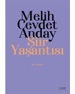 Şiir Yaşantısı - Şiir Yazıları