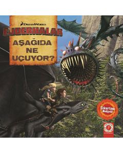 Aşağıda Ne Uçuyor?