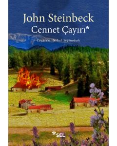 Cennet Çayırı