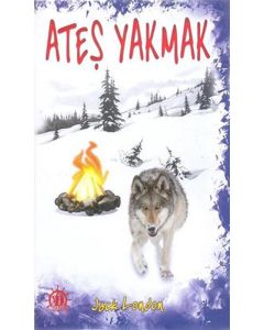Ateş Yakmak