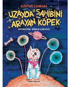 Uzayda Sahibini Arayan Köpek