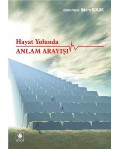 Hayat Yolunda Anlam Arayışı