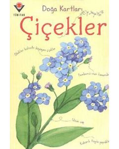 Çiçekler