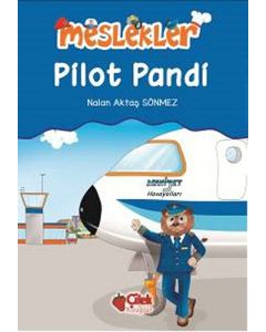 Meslekler - Pilot Pandi