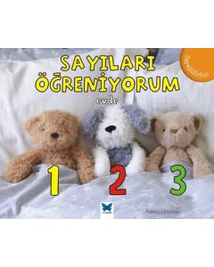 Sayıları Öğreniyorum Evde