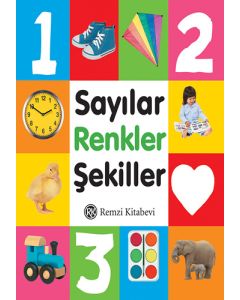 Sayılar Renkler Şekiller (Mini)