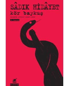 Kör Baykuş