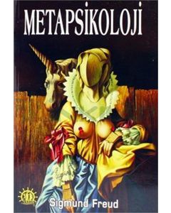 Metapsikoloji