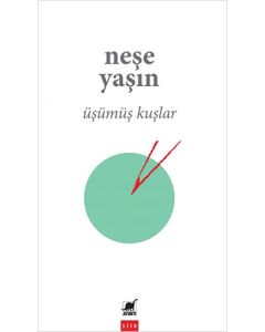 Üşümüş Kuşlar