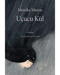 Uçucu Kül