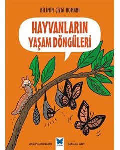 Hayvanların Yaşam Döngüleri