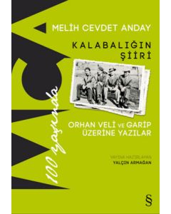 Kalabalığın Şiiri