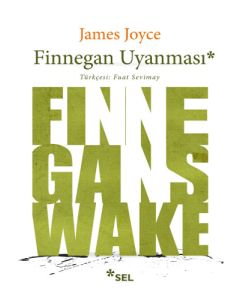 Finnegan Uyanması