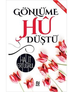 Gönlüme Hû Düştü