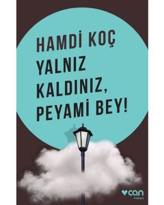 Yalnız Kaldınız, Peyami Bey!