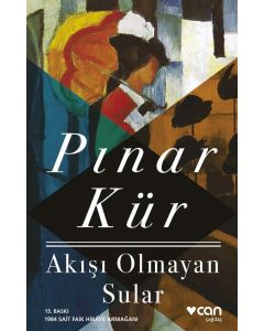 Akışı Olmayan Sular