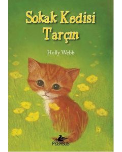 Sokak Kedisi Tarçın