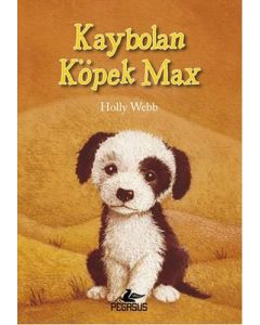 Kaybolan Köpek Max