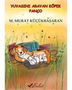 Yuvasını Arayan Köpek Panço