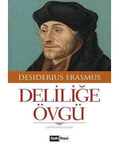 Deliliğe Övgü