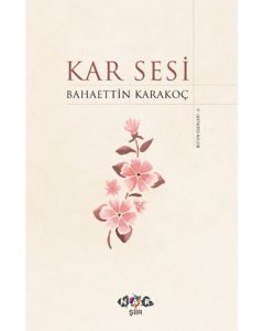 Kar Sesi