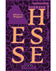 Klein ve Wagner