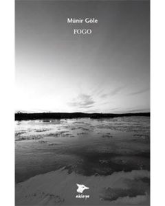 Fogo
