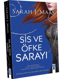 Dikenler ve Güller Sarayı 2 - Sis ve Öfke Sarayı 