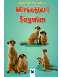 Mirketleri Sayalım