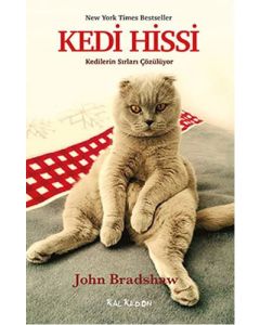 Kedi Hissi