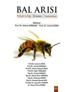 Bal Arısı