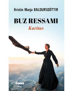 Buz Ressamı