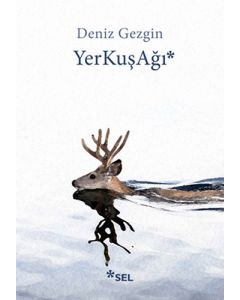 YerKuşAğı