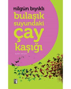 Bulaşık Suyundaki Çay Kaşığı