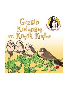 Gezgin Kırlangıç ve Küçük Kuşlar
