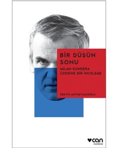 Bir Düşün Sonu