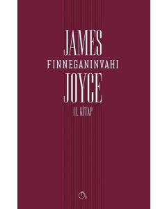 Finneganın Vahı 2. Kitap