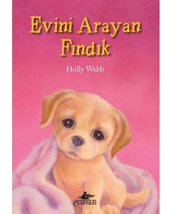 Evini Arayan Fındık