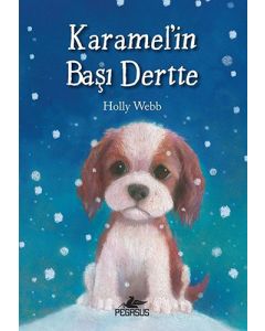 Karamel'in Başı Dertte