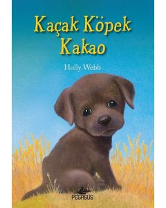 Kaçak Köpek Kakao