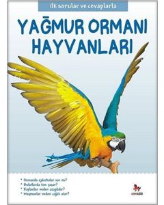 Yağmur Ormanı Hayvanları