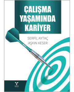 Çalışma Yaşamında Kariyer
