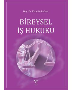 Bireysel İş Hukuku