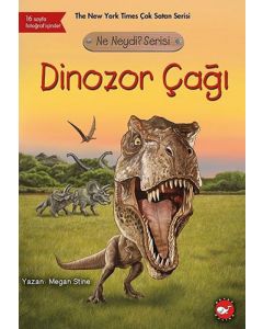 Dinozor Çağı