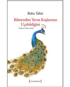Bilmezdim Tavus Kuşlarının Uçabildiğini