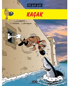 Kaçak