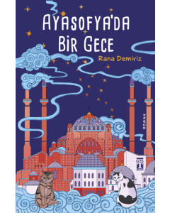 Ayasofya’da Bir Gece