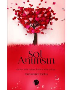 Sol Anımsın